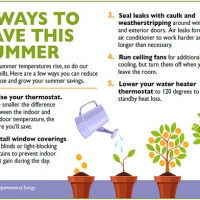 Grow your summer energy savings