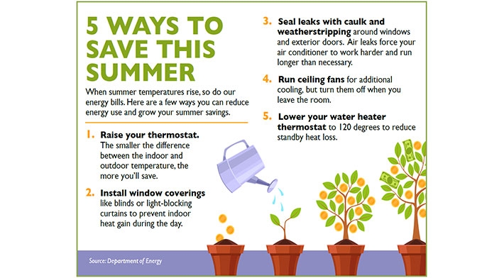 News article Grow your summer energy savings