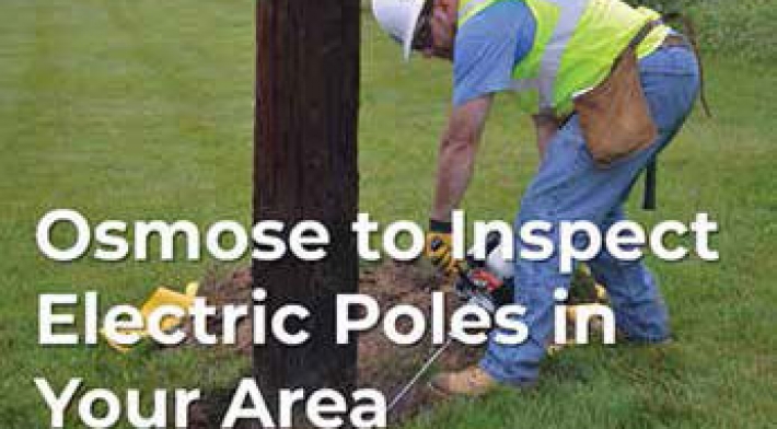 News article Pole Inspections Being Conducted